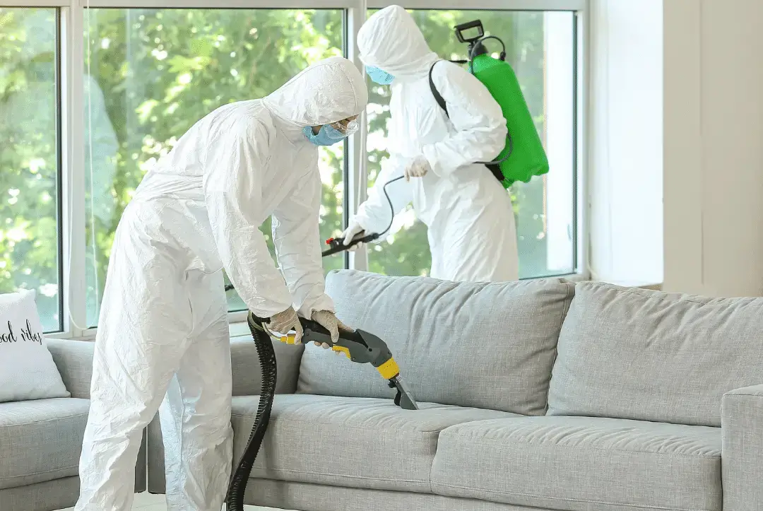 شركات تنظيف بالسعودية تنظيف احترافي للمنازل أفضل شركة نظافة خدمة تنظيف احترافية شركات تنظيف وتعقيم شركة تنظيف موثوقة تنظيف المكاتب والشركات تعقيم المباني شركة تنظيف الحدائق تنظيف مباني تجارية تنظيف السجاد والموكت تنظيف المفارش والمجالس تنظيف الارضيات والرخام